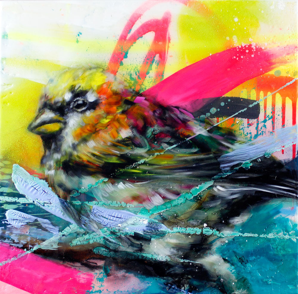 sparrow sparrow