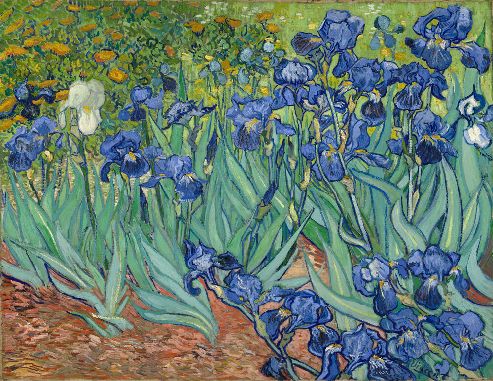 Vincent van Gogh - IRISES - Leinwandbild 
