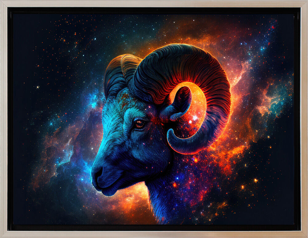 Schattenfuge-widder-schwarz-silber