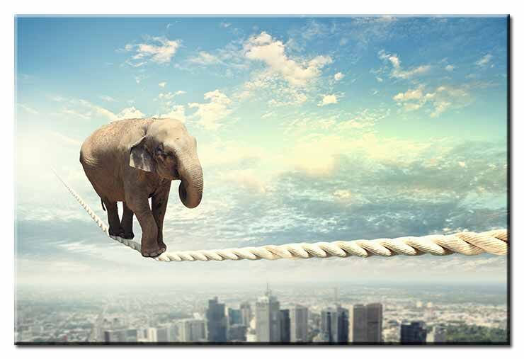 Tanz auf dem Seil - Elefant über der Stadt - Modernes Leinwandbild Modernes Leinwandbild - Tanz auf dem Seil - Elefant über der Stadt