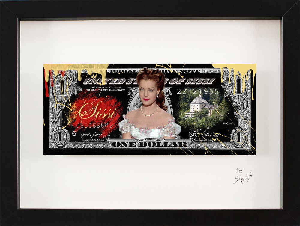 skyyloft-sissi-chrome-dollar-gerahmt