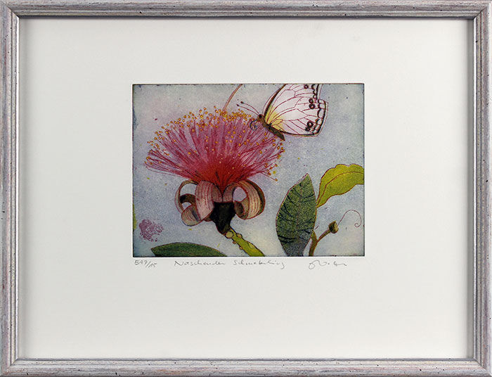Jutta Votteler. NASCHENDER SCHMETTERLING gerahmt Jutta Votteler - Naschender Schmetterling - Original Farb-Radierung - limitiert und handsigniert
