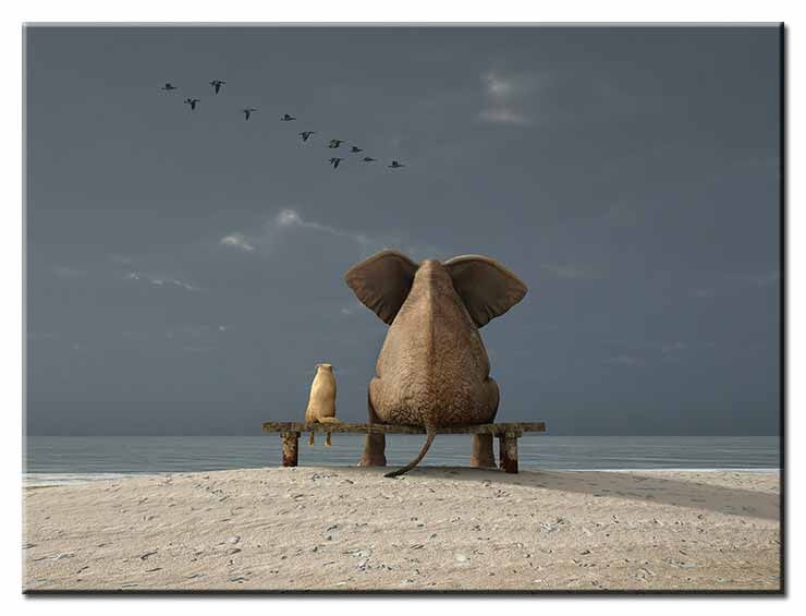 Beste Freunde - Elefant und Hund - Modernes Leinwandbild Modernes Leinwandbild - Beste Freunde - Elefant und Hund