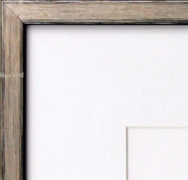 Bilderrahmen für Armin Mueller-Stahl. Kleiner Freund