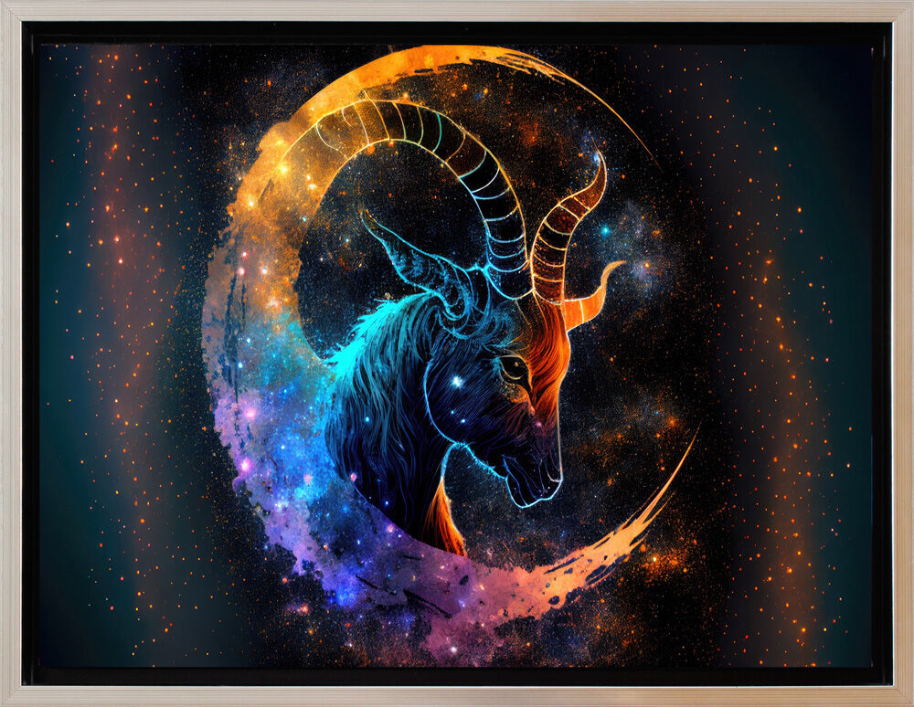 Schattenfuge-steinbock-schwarz-silber