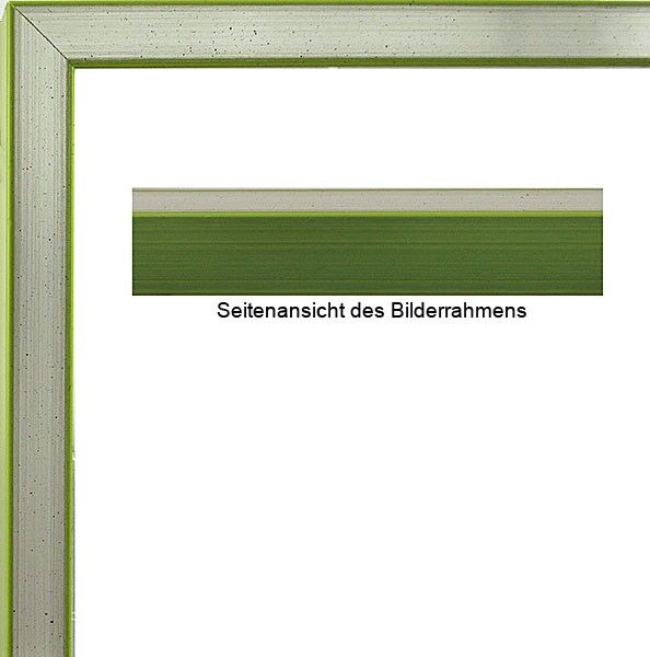 Bilderrahmen silber-grün für James Rizzi Bilder DESERT LIFE