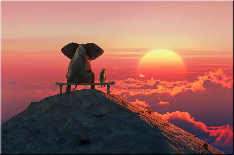beste-freunde-elefant-und-hund-auf-dem-gipfel beste-freunde-elefant-und-hund-auf-dem-gipfel