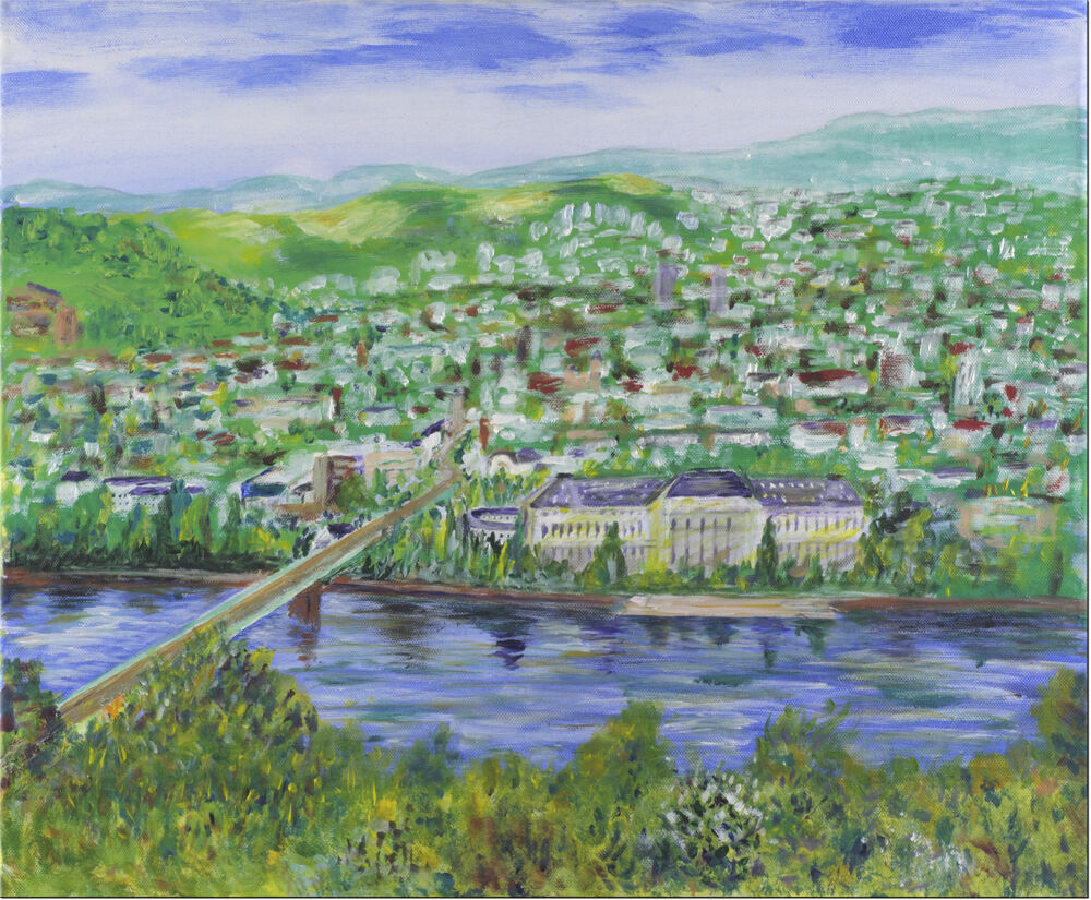 Girmann-Koblenz-von-oben