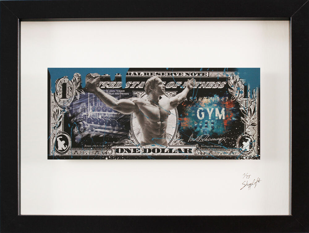 skyyloft-chrome-dollar-fitness-gym-dollar-gerahmt