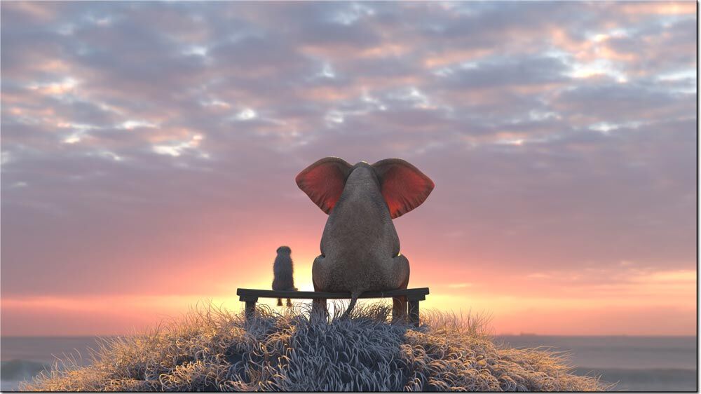 beste-freunde-sonnenaufgang