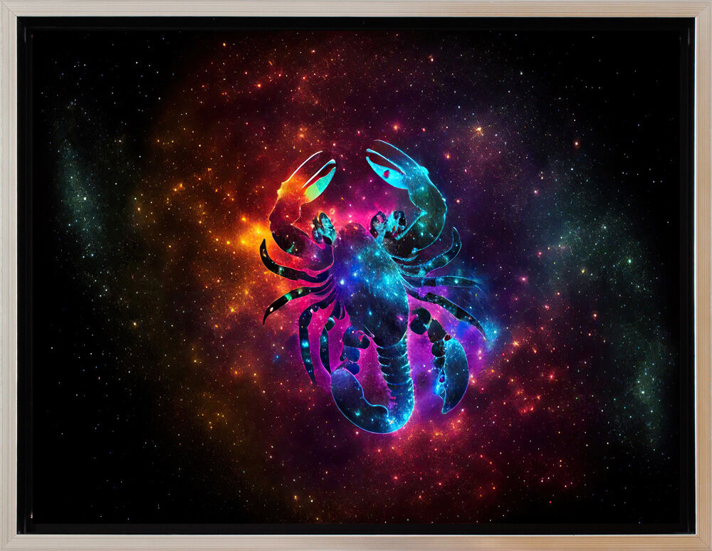 Schattenfuge-skorpion-schwarz-silber