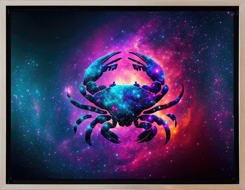 Schattenfuge-krebs-schwarz-silber