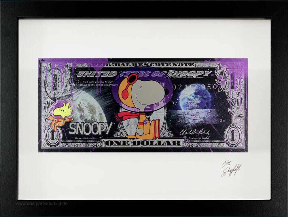 SKYYLOFT Bilder - Space Snoopy - Dollar - Bild mit Museumsglas und Bilderrahmen  