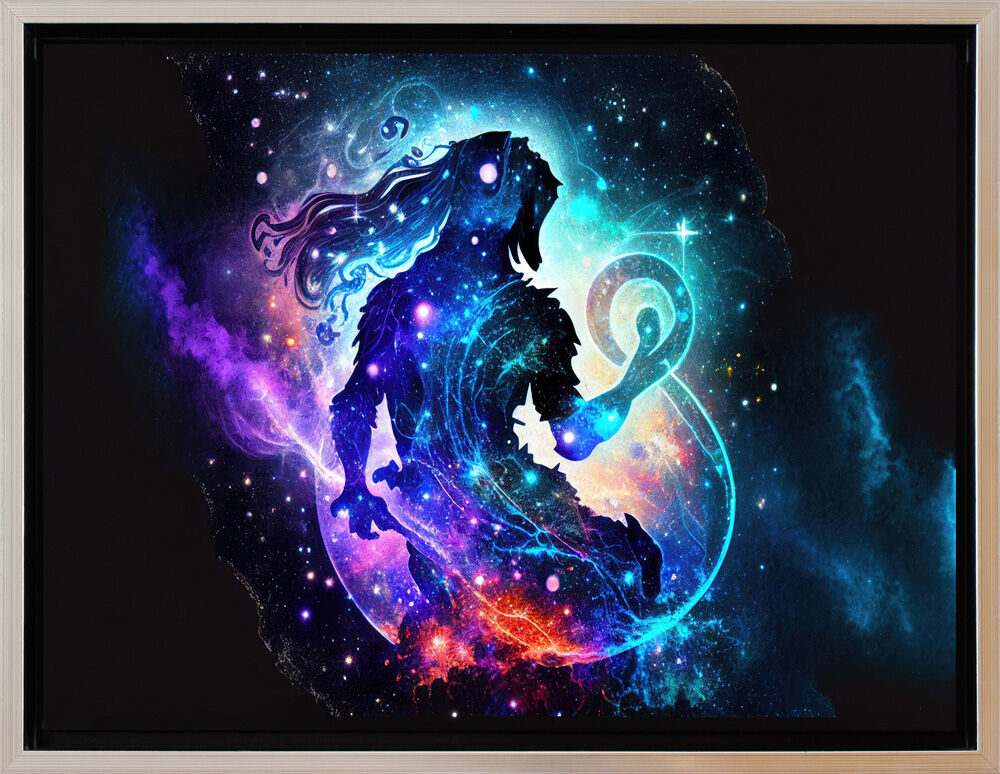 Schattenfuge-wassermann-schwarz-silber