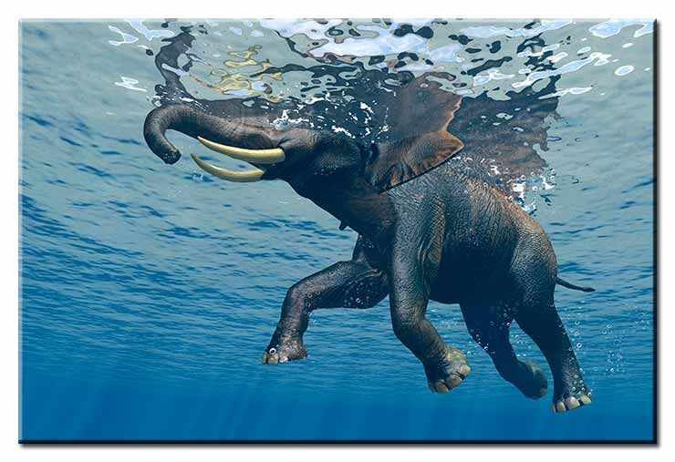 Jumbo Bubbles 2 - Elephant under water - Modernes Leinwandbild Modernes Leinwandbild - Jumbo Bubbles 2 - Elephant under water